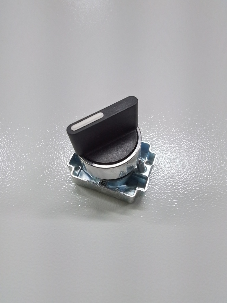 I2AS2-2P 2 Position Switch with bracket